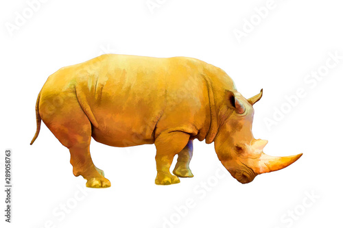 Drawing with color paints Rhinoceros painted with paints on a white background