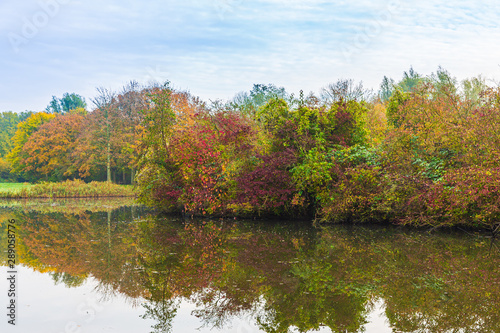 Fototapeta Naklejka Na Ścianę i Meble -  Autumn landscape. Colorful trees near water