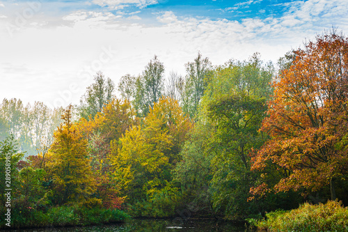 Autumn landscape. Colorful trees near water