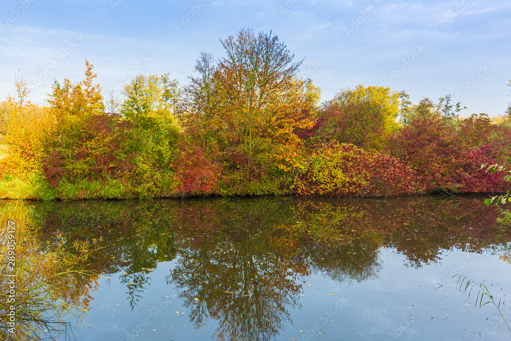 Fototapeta premium Autumn colored forest landscape with small river
