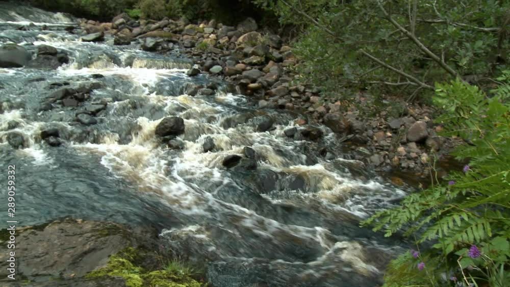 Handheld, medium wide shot of water rushing down a steep brook. Handheld, medium wide shot of water rushing down a steep brook.