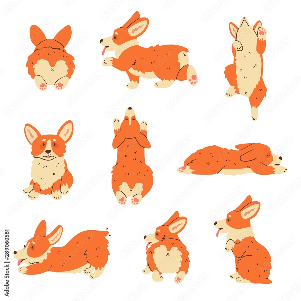 Happy dog Welsh Corgi. The style flat or free cartoon. Happy dog Welsh Corgi. The style flat or free cartoon.