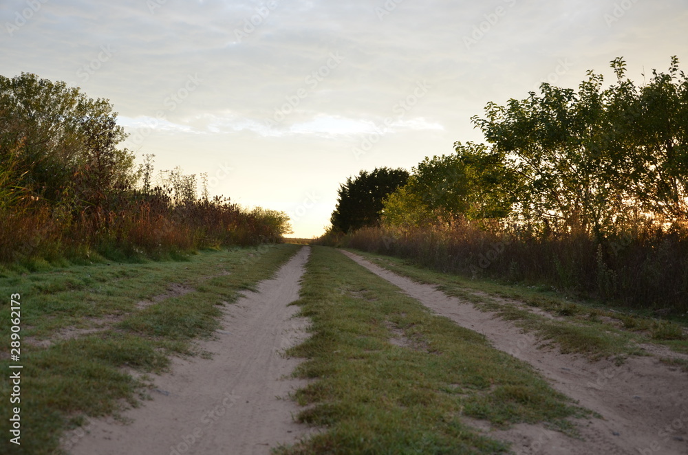 Fototapeta premium camino