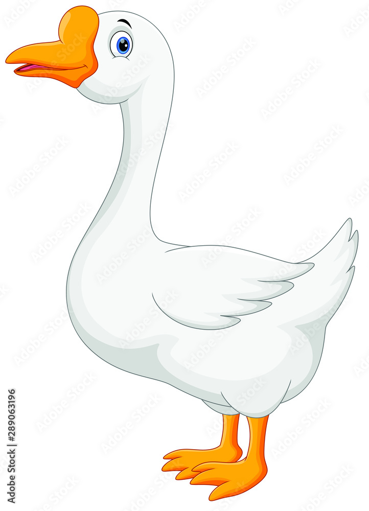 Funny cartoon duck isolated on white background Funny cartoon duck isolated on white background