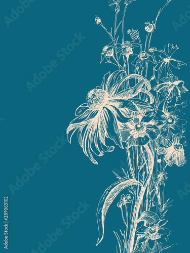 Vector graphic drawing: Flowers drawn with ink pen.