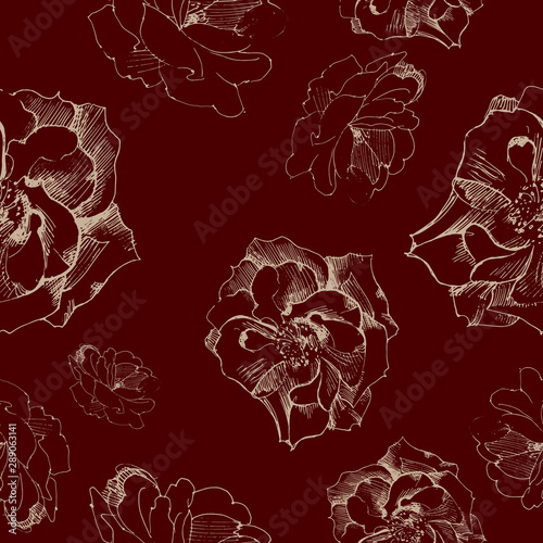 Vector seamless pattern of roses, graphic drawing ink and pen.