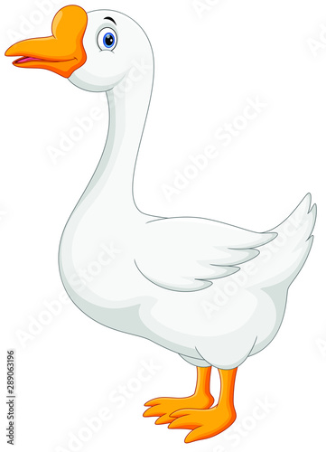 Funny cartoon duck isolated on white background
