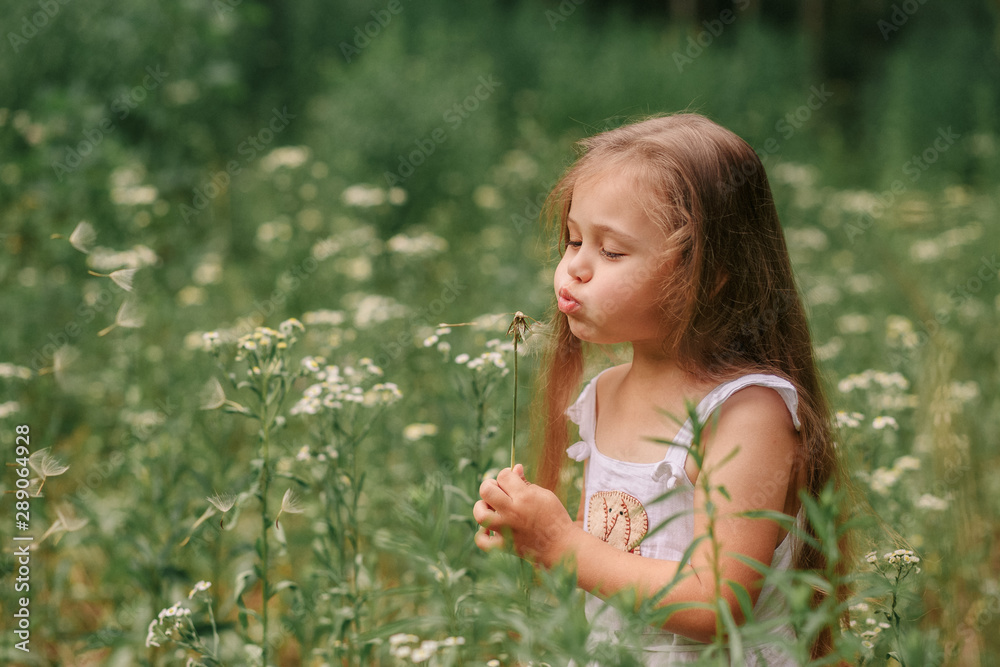 little girl with a big dandelion in nature in summer little girl with a big dandelion in nature in summer