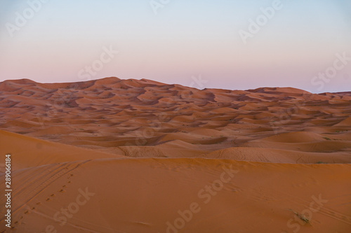 Gorgeous and scenic desert scene with the moon crescent high above beautiful sand dunes Erg Chebbi  Morocco  Merzouga
