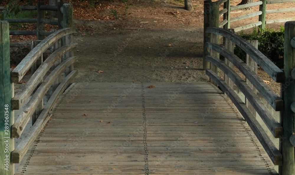 wooden bridge in forest wooden bridge in forest