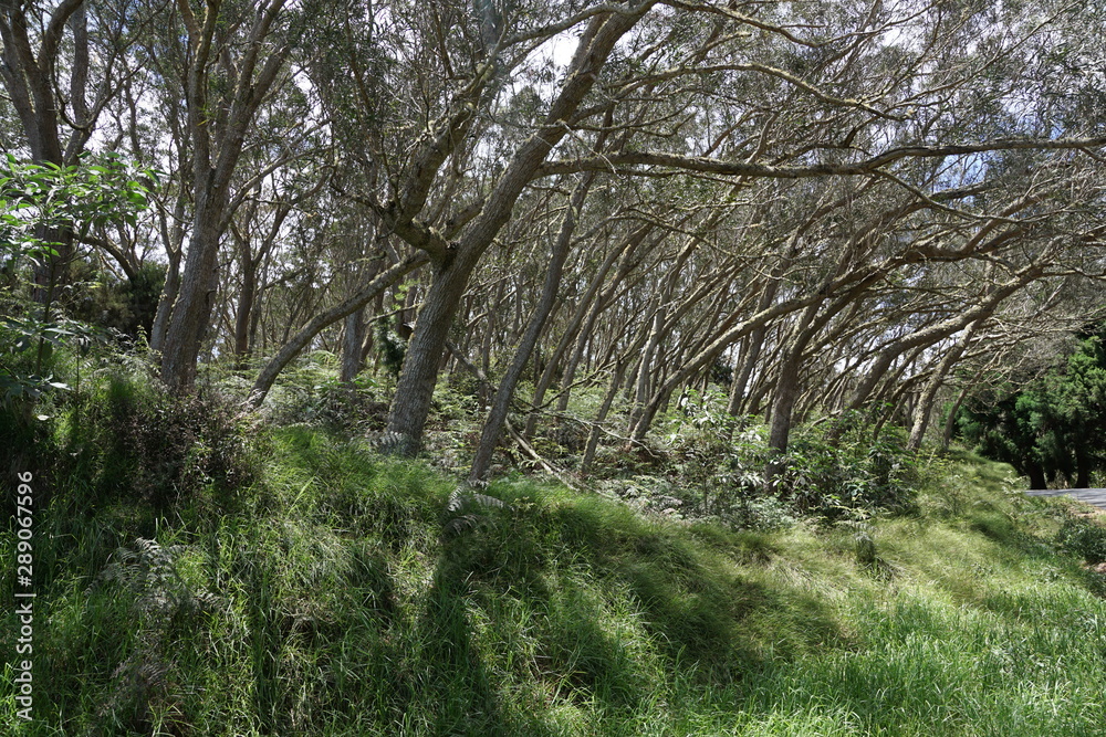 Der Talkessel von Cirque de Mafate  auf la reunion insel in frankreich