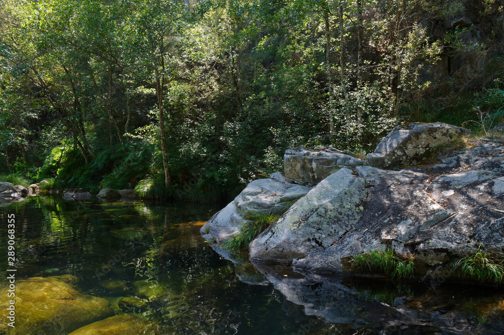 Peaceful river waters in the forests of Carvalhais. Sao Pedro do Sul, Portugal Peaceful river waters in the forests of Carvalhais. Sao Pedro do Sul, Portugal