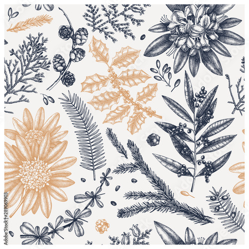 Merry Christmas seamless pattern. Seamless pattern with evergreen and winter plants, flowers, conifers plants sketches. Vector botanical elements. For winter decoration or greeting cards design.