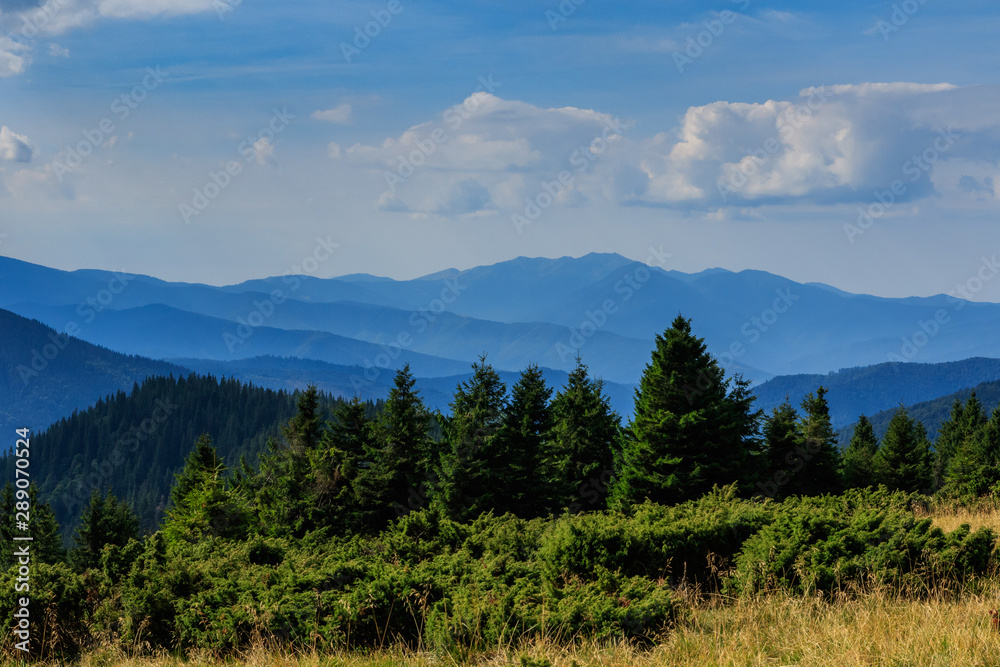 Fototapeta premium Landscape of the Ukrainian Carpathian Mountains, Chornohora