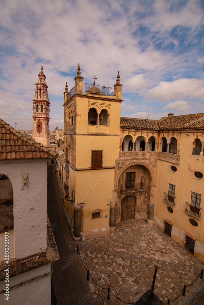 Fototapeta premium Palacio de Valdehermoso, Écija, Sevilla, Andalucía, España