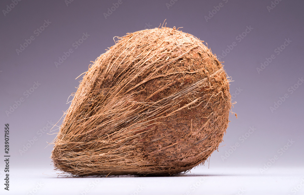 Closeup of a coconut on a isolated white background Closeup of a coconut on a isolated white background