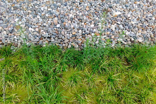 Grass and stones texture. Gravel texture and strip grass as background