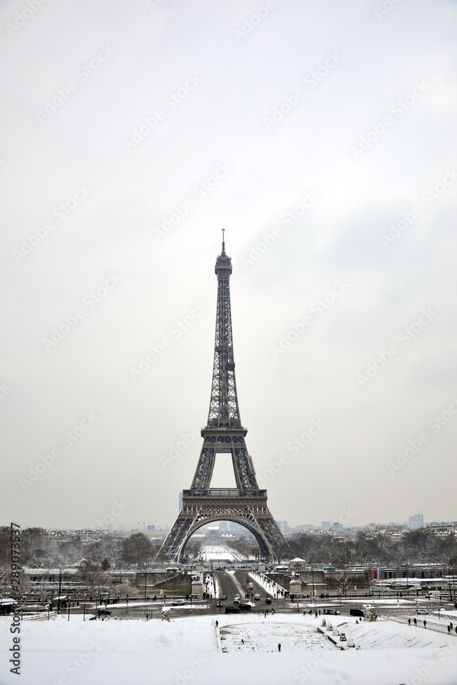 Paris, France - February 8th 2018 . Eiffel tower under snow. Snow is pretty rare in Paris. You can also see the flood of the river La Seine, happening in the same time.