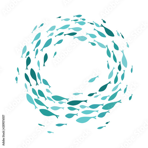 Colored silhouettes school of fish. A group of silhouette fish swim in a circle. Marine life. Vector illustration. Logo fishes.