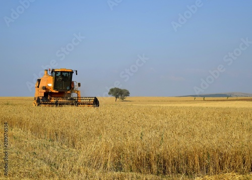 combine harvester working on field