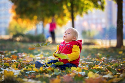 Happy little child, baby boy, laughing and playing in the autumn on the nature walk outdoors.