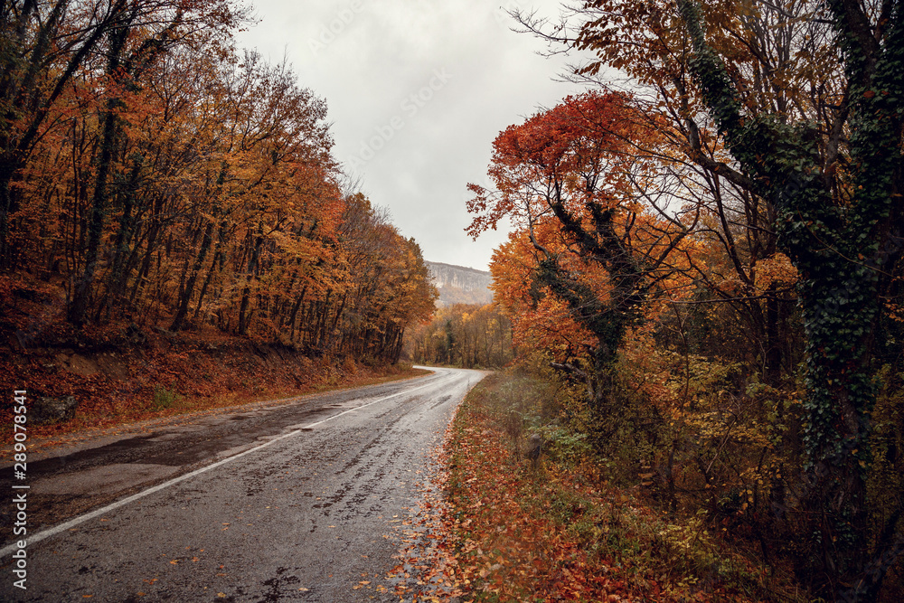 Beautiful colorful curved Autumn Fall road in the mountains of Crimea, Ukraine