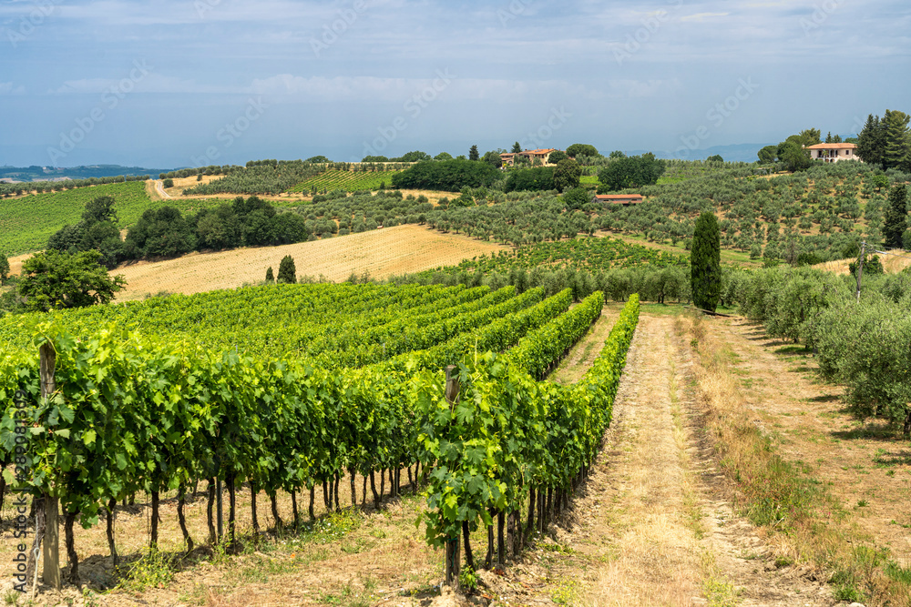 Summer landscape in Tuscany near Certaldo Summer landscape in Tuscany near Certaldo