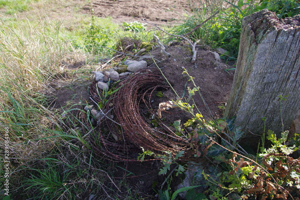 Obraz premium Vergessene Stacheldrahrrolle