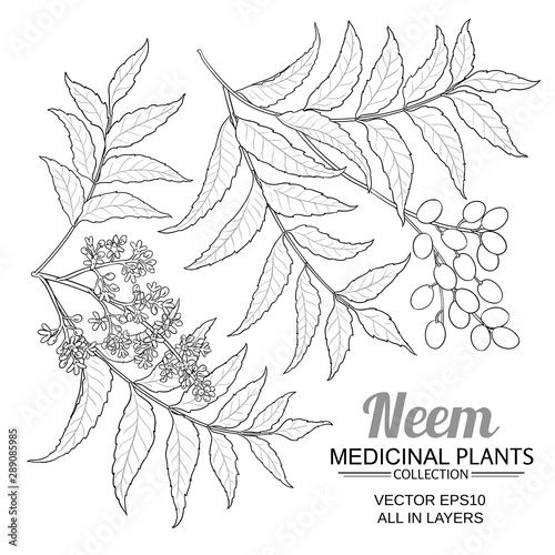 neem vector set