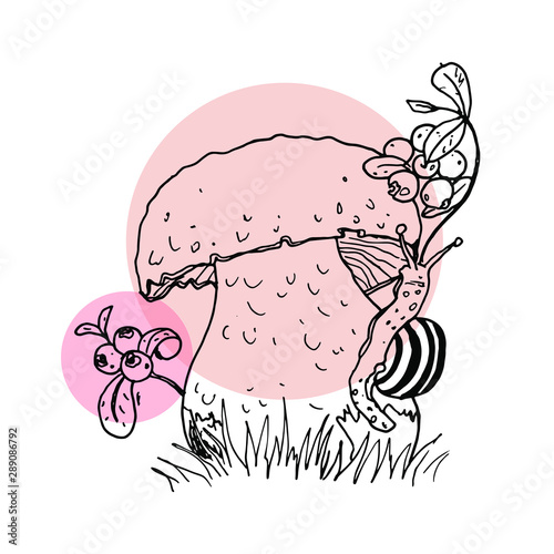 Cep Vector 