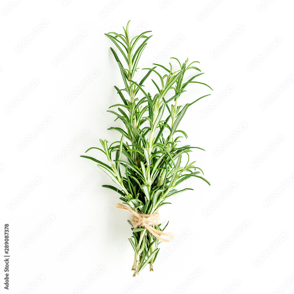 Green bundle of rosemary isolated on a white background. Мedicinal herbs. Flat lay. Top view Green bundle of rosemary isolated on a white background. Мedicinal herbs. Flat lay. Top view