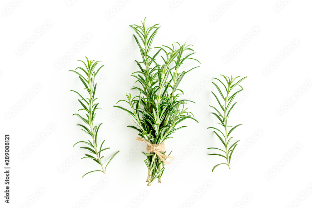 Green bundle of rosemary isolated on a white background. Мedicinal herbs. Flat lay. Top view