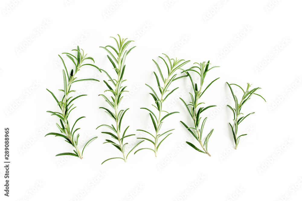 Fototapeta premium Green branchs and leaves of rosemary isolated on a white background. Мedicinal herbs. Flat lay. Top view