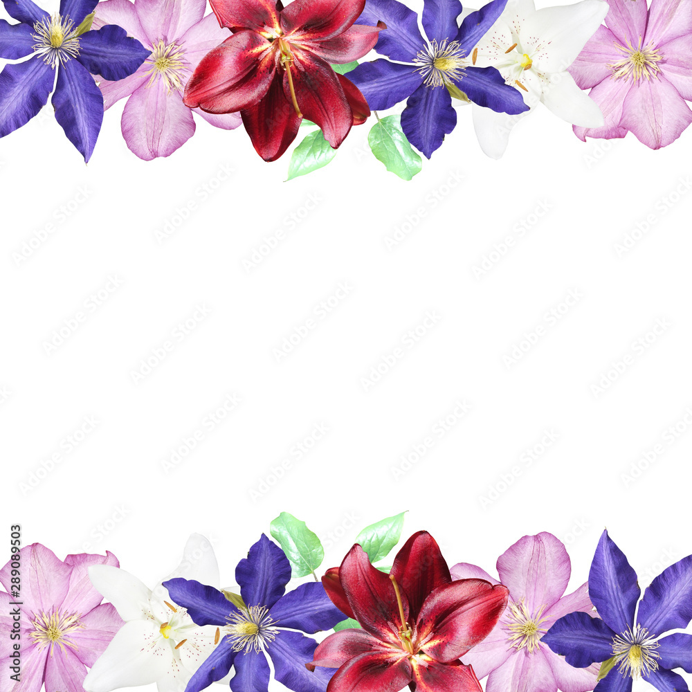 Beautiful floral background of lilies and clematis. Isolated Beautiful floral background of lilies and clematis. Isolated