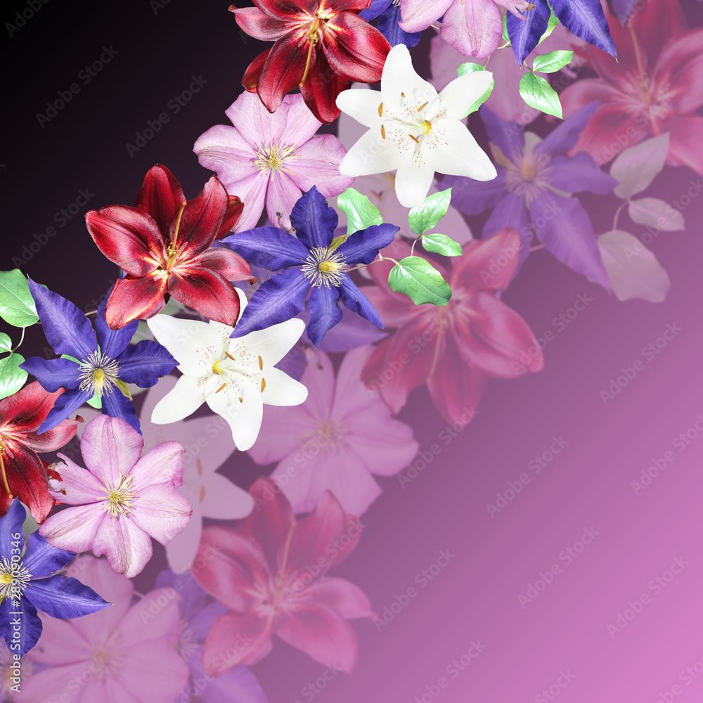 Beautiful floral pattern of lilies and clematis. Isolated Beautiful floral pattern of lilies and clematis. Isolated