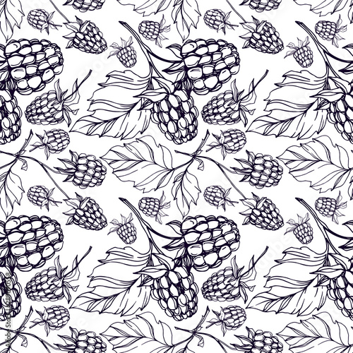 Vector Raspberry healthy food isolated. Black and white engraved ink art. Seamless background pattern.