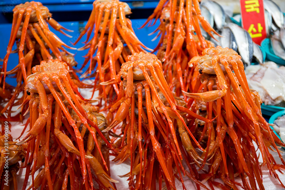 Fototapeta premium Seafood market in Korea