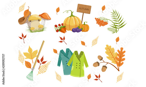 Autumn Season Objects Collection, Autumnal Design Elements, Mushrooms, Vegetables, Mountain Ash Leaves, Rake, Raincoats Vector Illustration
