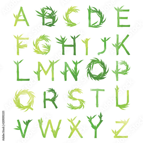 Bamboo latin alphabet. Isolated green eco font on white background.
