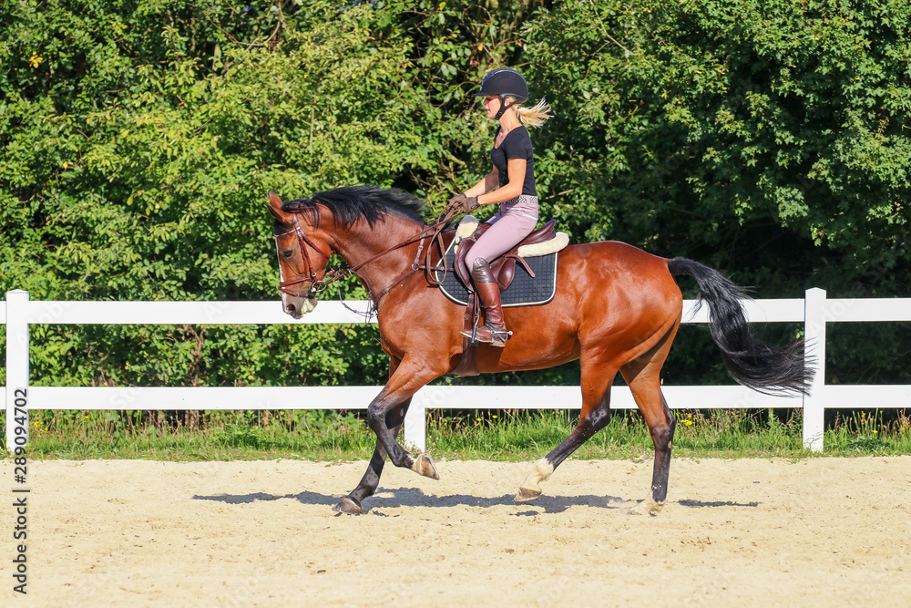 Horse with his young blond horsewoman riding in the riding arena in the sunshine.. Horse with his young blond horsewoman riding in the riding arena in the sunshine..