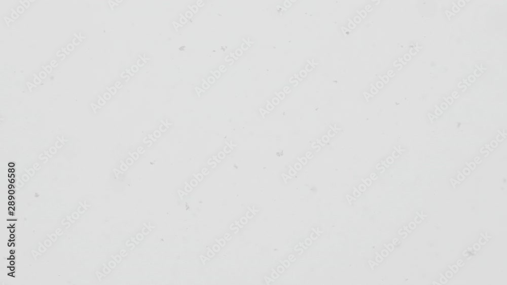 Snowing snowflakes in winter from a light sky. Christmas. Snowing snowflakes in winter from a light sky. Christmas.