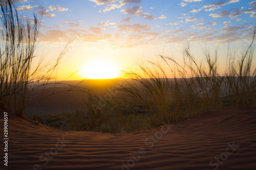 Sand dunes and desert landscape of Namibia, waving grass in foreground, during dramatic sunset with clouds, copy space for text below, or on top. Suited for memes or motivational posters. 