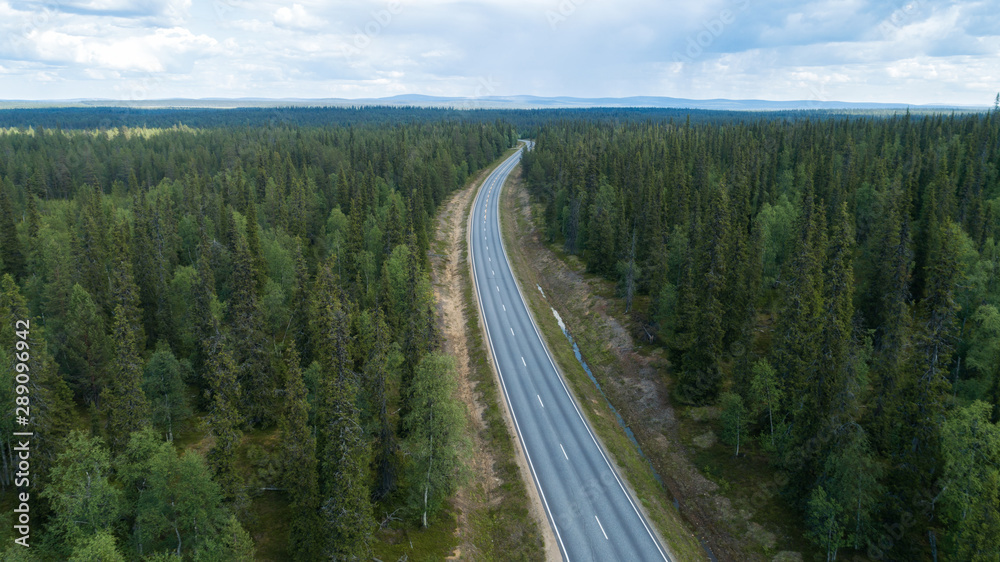 Aerial view from above of highway through the green summer fir forest. Drone photography.