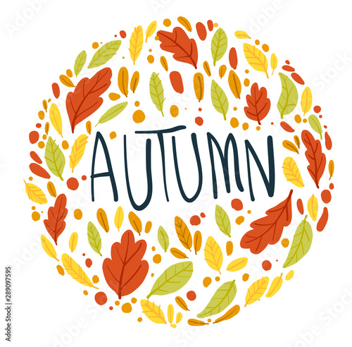 Background autumn An oak leaf on a white background. Vector illustration