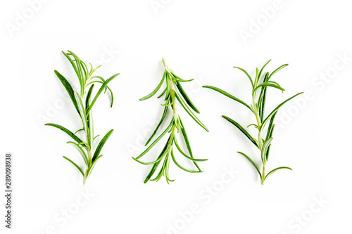 Green branchs and leaves of rosemary isolated on a white background.   edicinal herbs. Flat lay. Top view