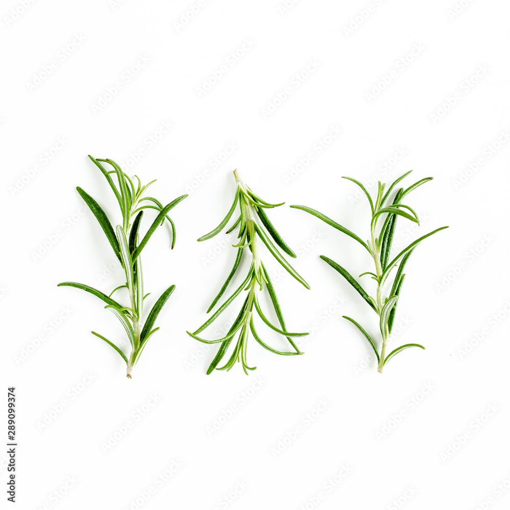 Fototapeta premium Green branchs and leaves of rosemary isolated on a white background. Мedicinal herbs. Flat lay. Top view