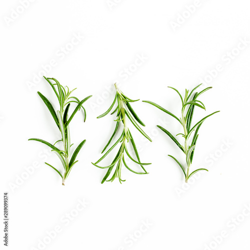 Fototapeta Naklejka Na Ścianę i Meble -  Green branchs and leaves of rosemary isolated on a white background. Мedicinal herbs. Flat lay. Top view