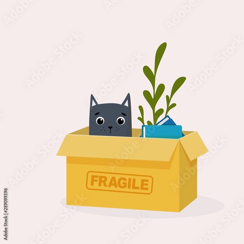 Home change illustration with a cat