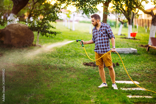 backyard gardening - portrait of gardener using water hose and watering the lawn, grass and plants. photo