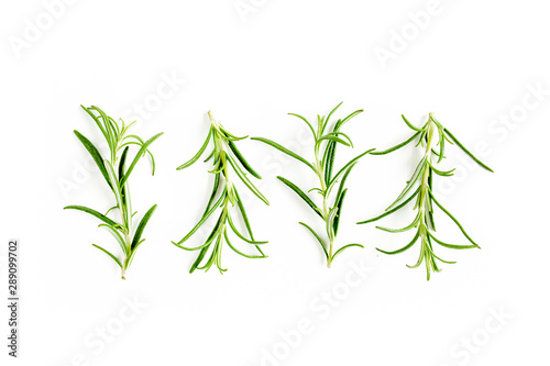 Green branchs and leaves of rosemary isolated on a white background. Мedicinal herbs. Flat lay. Top view